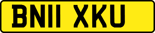 BN11XKU