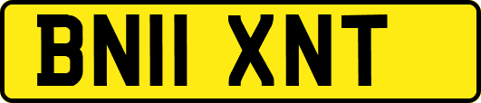 BN11XNT