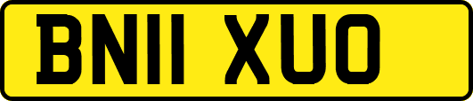 BN11XUO