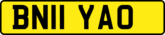 BN11YAO