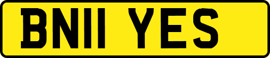 BN11YES