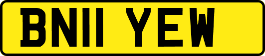 BN11YEW