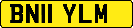 BN11YLM