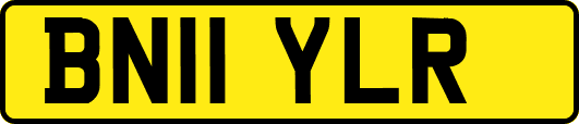 BN11YLR