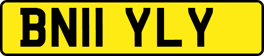 BN11YLY