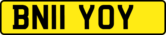 BN11YOY