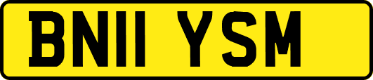 BN11YSM