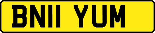 BN11YUM