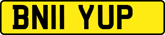 BN11YUP