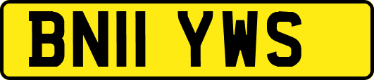 BN11YWS