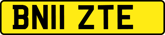 BN11ZTE