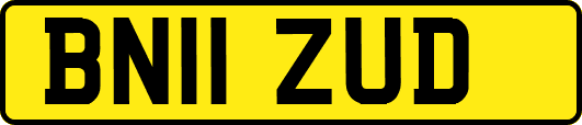 BN11ZUD