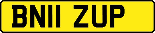 BN11ZUP