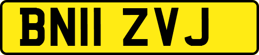 BN11ZVJ