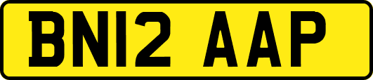 BN12AAP