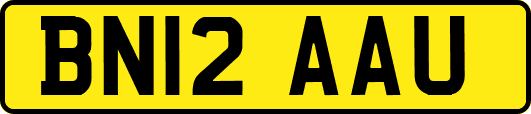 BN12AAU