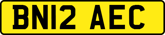 BN12AEC