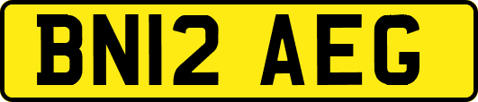 BN12AEG