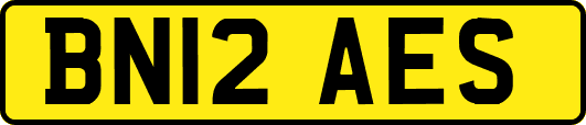 BN12AES