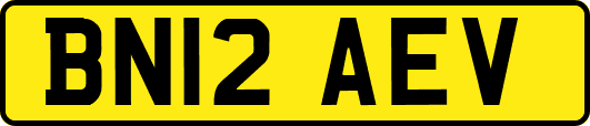 BN12AEV