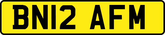 BN12AFM