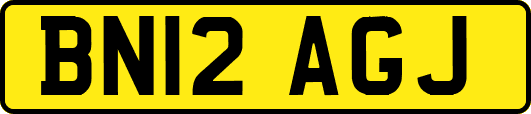 BN12AGJ