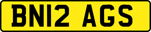 BN12AGS