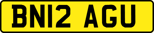 BN12AGU