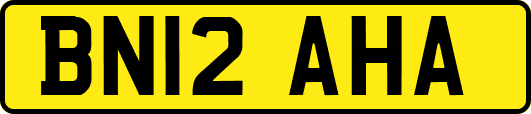 BN12AHA