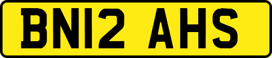 BN12AHS