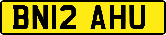 BN12AHU