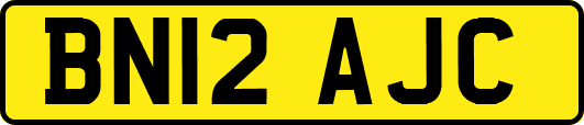 BN12AJC