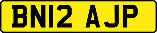 BN12AJP