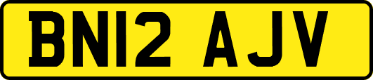 BN12AJV