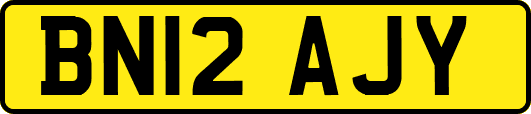 BN12AJY