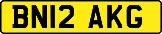 BN12AKG