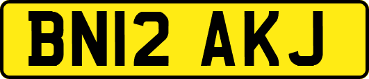 BN12AKJ