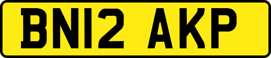 BN12AKP