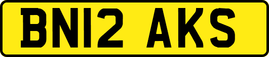 BN12AKS