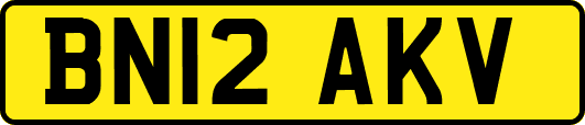BN12AKV