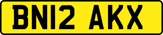 BN12AKX
