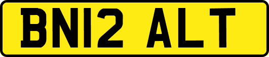 BN12ALT