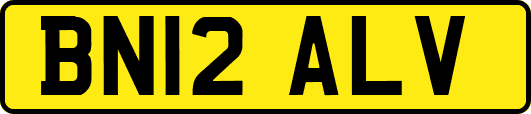 BN12ALV