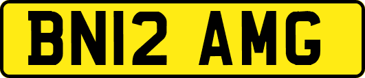 BN12AMG