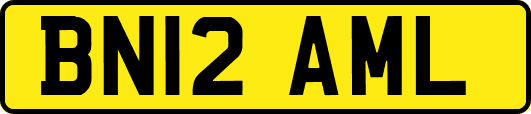 BN12AML