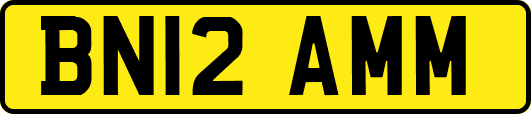 BN12AMM