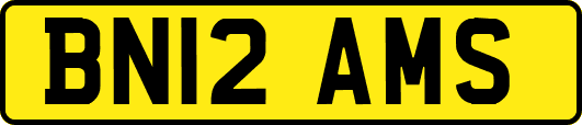 BN12AMS