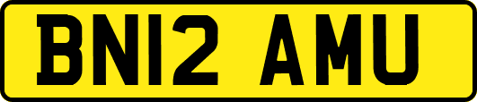 BN12AMU