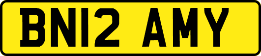 BN12AMY