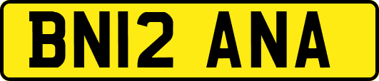 BN12ANA